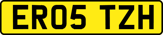 ER05TZH