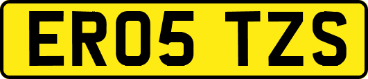 ER05TZS