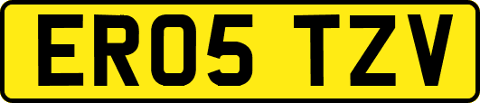 ER05TZV