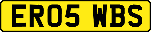 ER05WBS