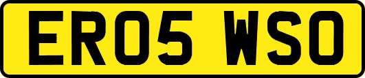 ER05WSO