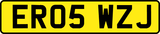 ER05WZJ