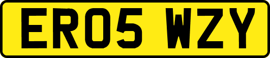 ER05WZY