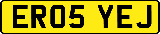 ER05YEJ