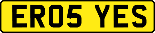 ER05YES