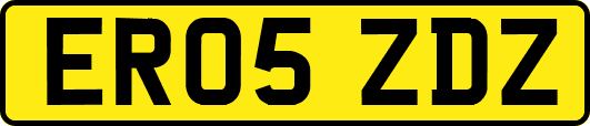 ER05ZDZ