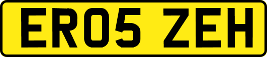 ER05ZEH
