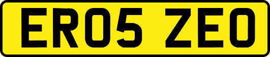 ER05ZEO