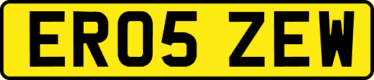 ER05ZEW