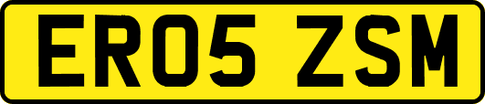 ER05ZSM