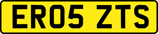 ER05ZTS