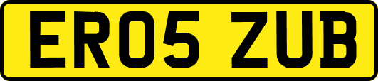 ER05ZUB