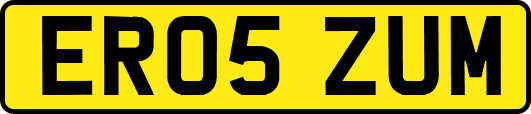 ER05ZUM