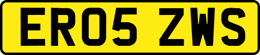 ER05ZWS