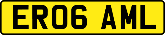 ER06AML