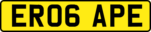 ER06APE