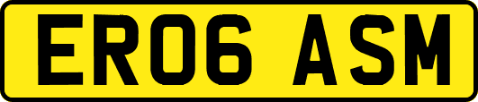 ER06ASM