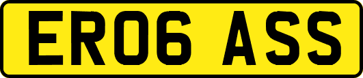 ER06ASS