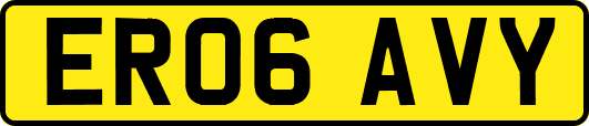 ER06AVY