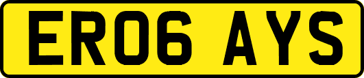 ER06AYS