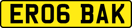 ER06BAK