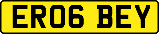 ER06BEY