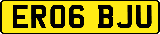 ER06BJU