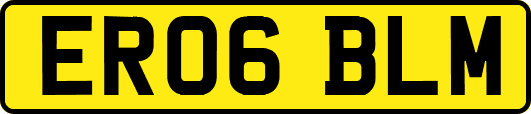 ER06BLM
