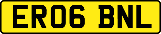 ER06BNL