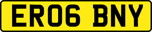ER06BNY