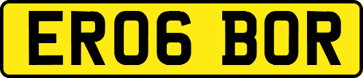 ER06BOR