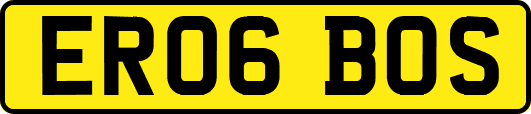 ER06BOS