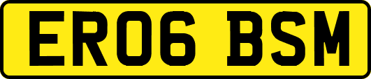 ER06BSM