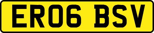 ER06BSV