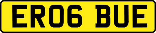 ER06BUE