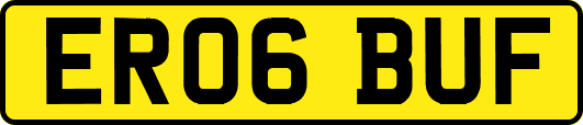 ER06BUF