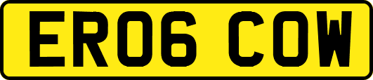 ER06COW