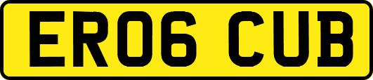 ER06CUB