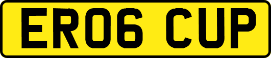 ER06CUP