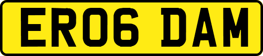 ER06DAM