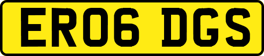 ER06DGS
