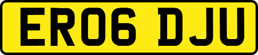 ER06DJU