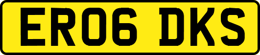 ER06DKS