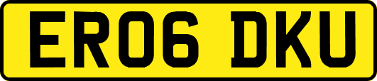 ER06DKU