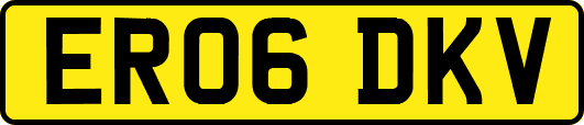 ER06DKV