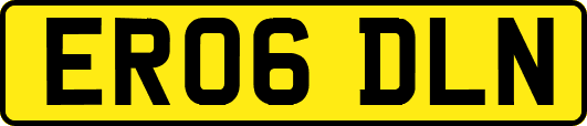ER06DLN