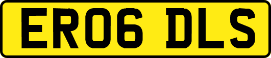 ER06DLS