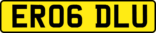 ER06DLU