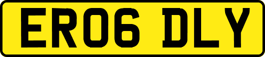 ER06DLY