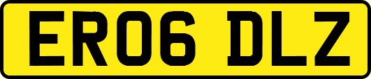 ER06DLZ